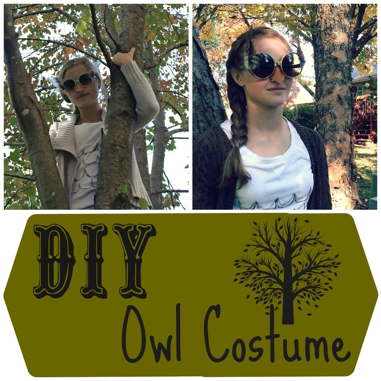 DIY Owl Costume | Owlbeteen