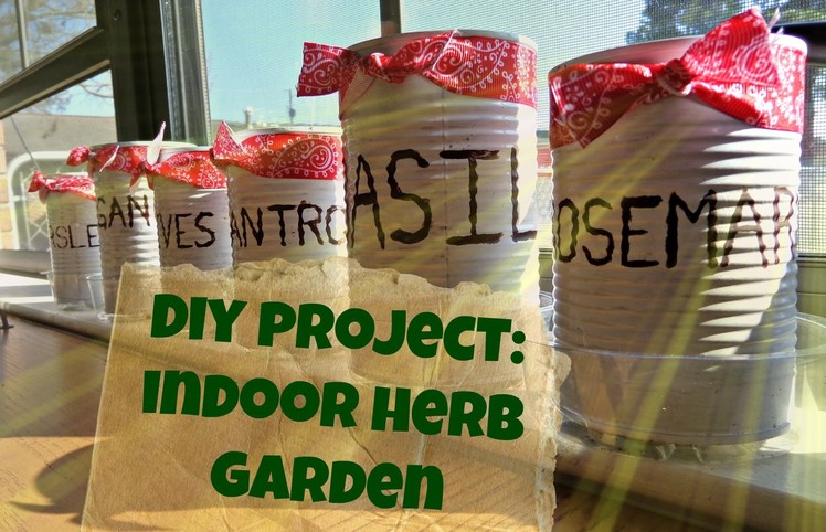 DIY project: Indoor Herb Garden