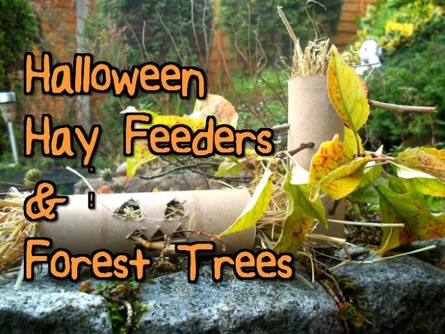 DIY Halloween Hay Feeders & Forest Trees | RosieBunneh