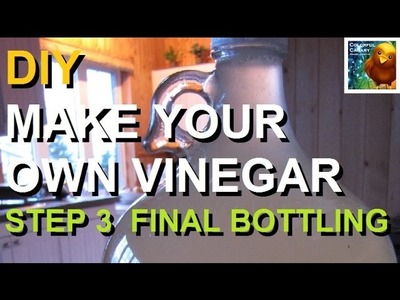 DIY Make Your Own Apple Scrap Vinegar | Step 3