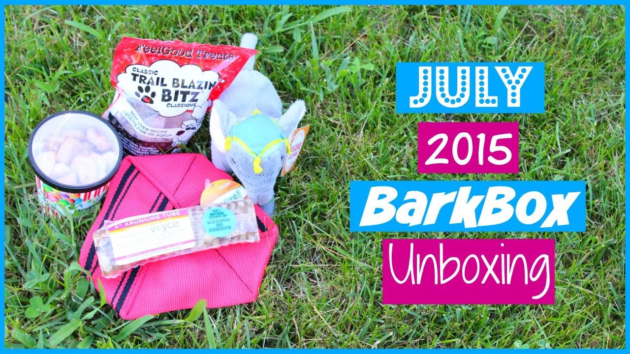 July BarkBox Unboxing (feat. Abby), Alexa’s DIY Life