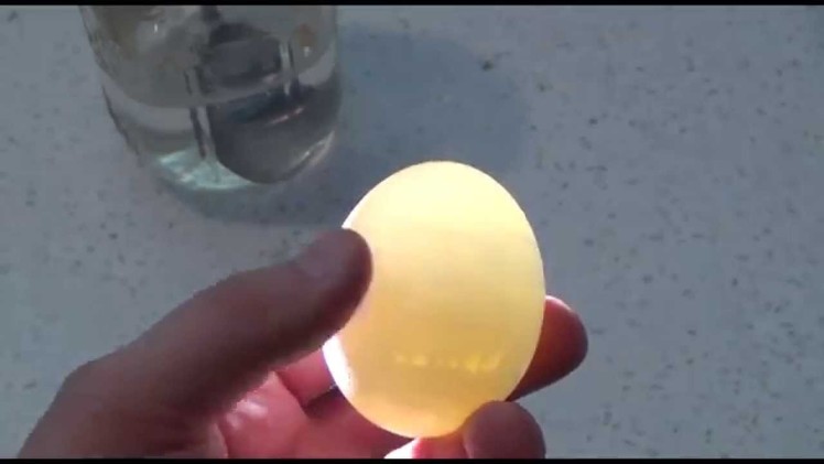 Bouncing Rubber Egg Home Science Experiment DIY