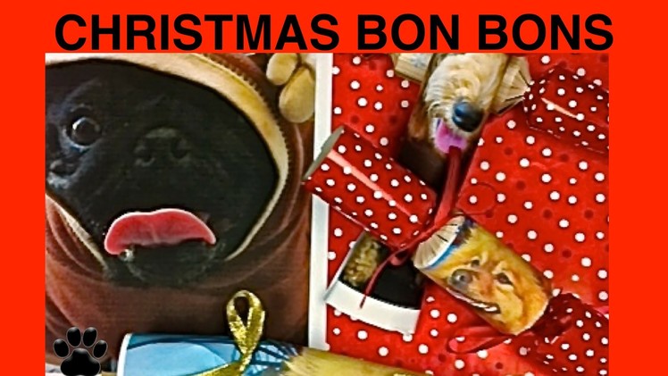 CHRISTMAS CRACKERS - DOG XMAS BON BONS - DIY Dog Food by Cooking For Dogs