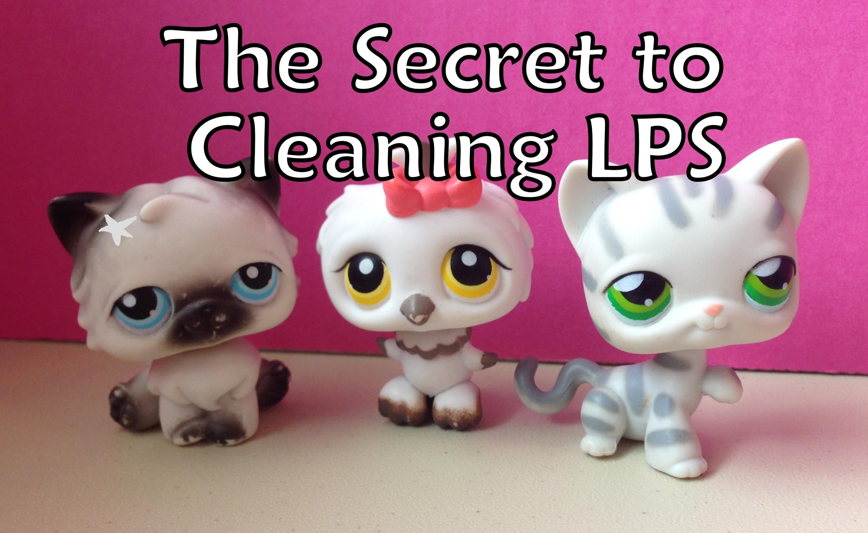 DIY - The Secret to Cleaning LPS!