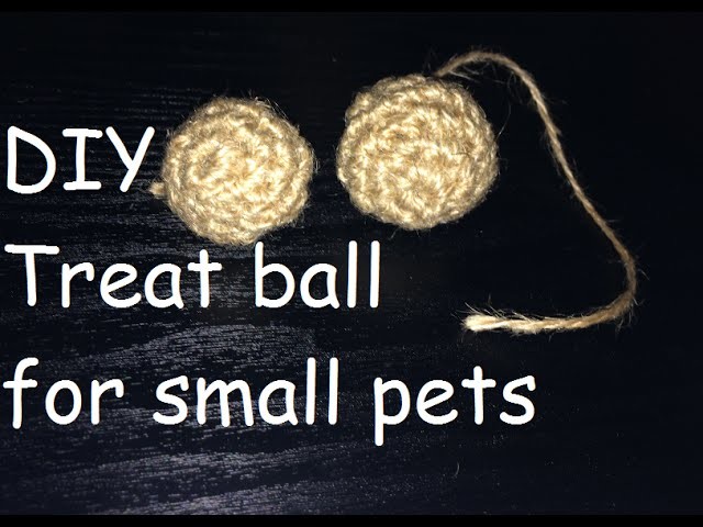 DIY Treat Ball for Small Pets: - Hamsters, Gerbils, Rabbits, Gunea Pigs, Rats, Mice