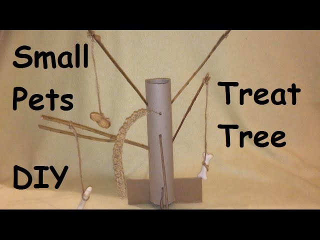 DIY Treat Tree For Small Pets. Hamsters, Gerbils, Rabbits, Guinea Pigs etc.