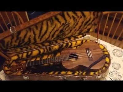 Home made DIY ukulele case