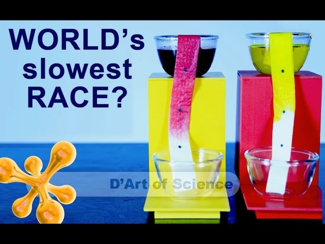 How to make the worlds slowest race - using capillary action  - DIY - dartofscience