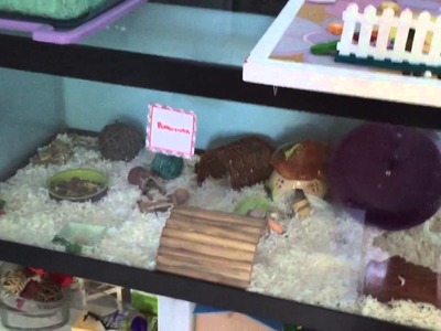 My DIY Hamster Cage