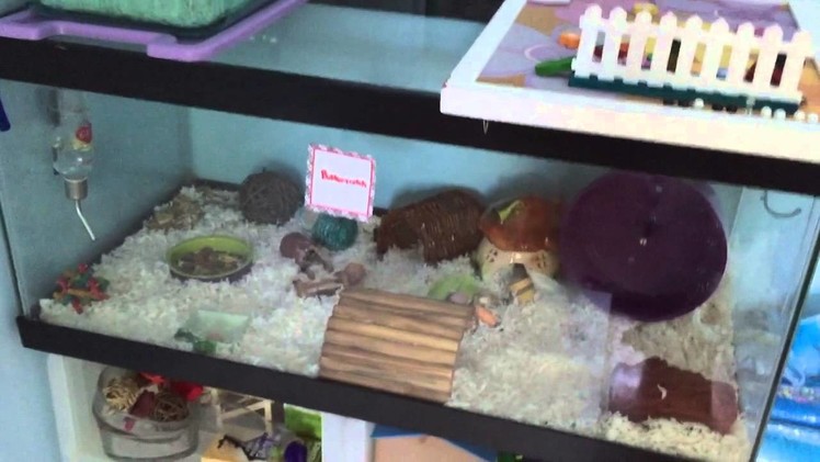 My DIY Hamster Cage