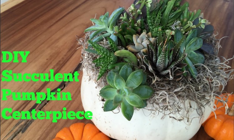 Pumpkin Succulent Centerpiece DIY