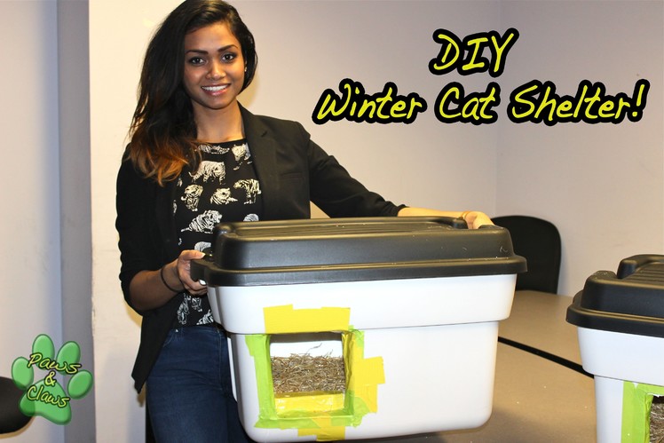 DIY: How to build your own Winter Cat Shelter!
