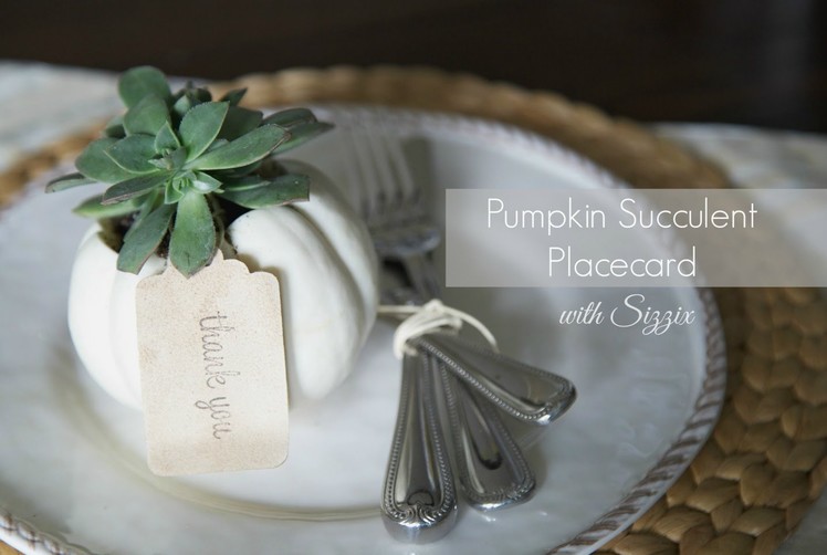 DIY Pumpkin Succulent Namecard | Sizzix DIY Parties & Events