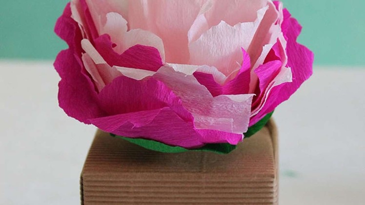 How To Make A  Crepe Paper Peony - DIY Crafts Tutorial - Guidecentral