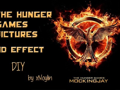 DIY The Hunger Games | Pictures 3D Effect | Mockingjay