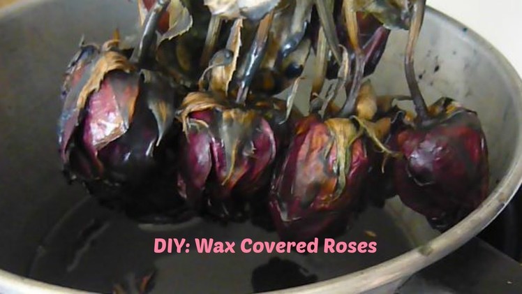 DIY: Wax Covered Flowers (Halloween Roses)