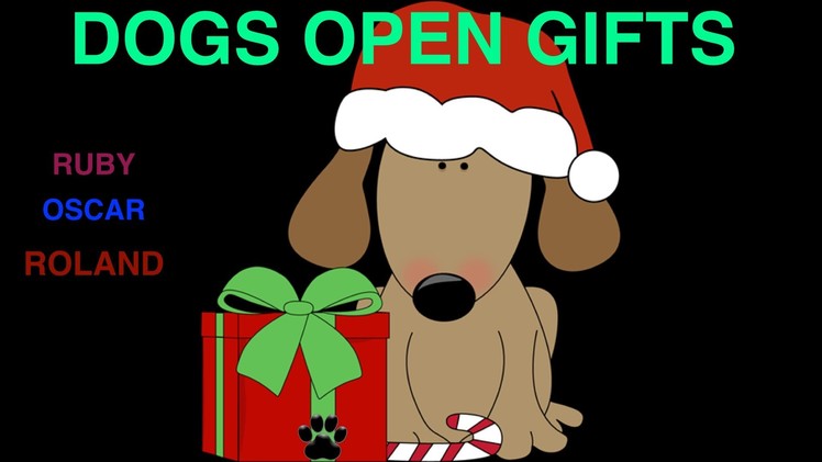 DOGS OPEN GIFTS - XMAS PRESSIES - DIY Dog Food&Craft by Cooking For Dogs