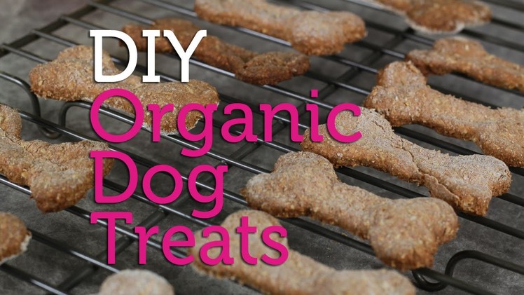 DIY Organic Dog Treats | Easy Recipe