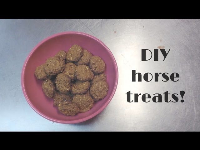 DIY Horse Treats!