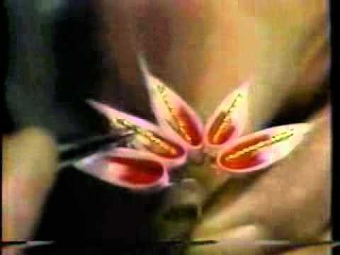 Hana Kanzashi - Silk Japanese Flowers - 03