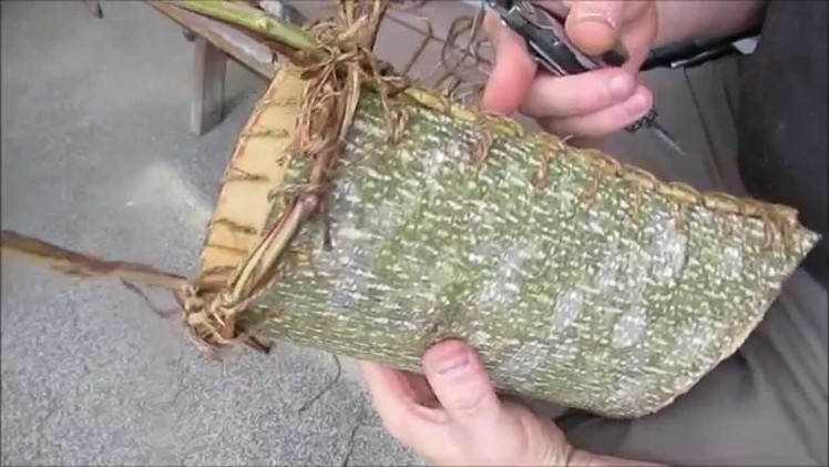 Tulip Poplar Bark Basket