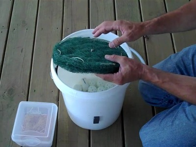 DIY black soldier fly bucket composter - part 2