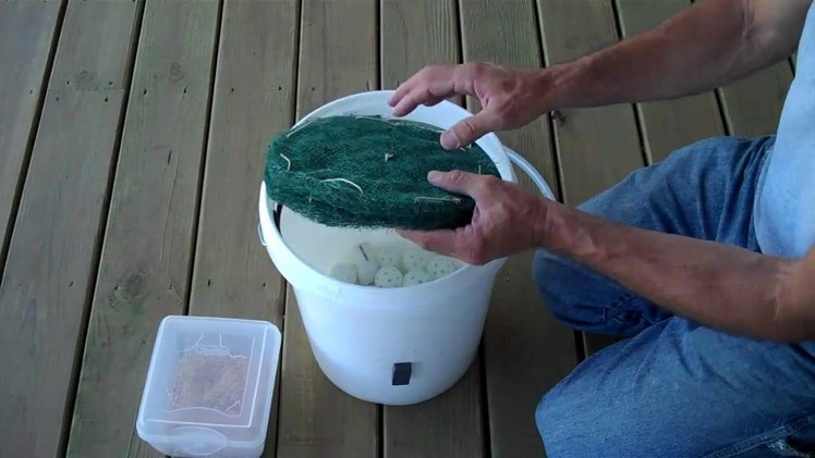 DIY black soldier fly bucket composter - part 2