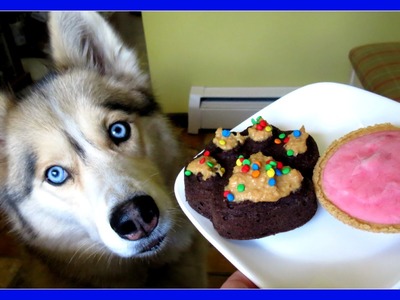 STRAWBERRY DOG ICE CREAM AND PUPCAKES DIY | Snacks with the Snow Dogs 35