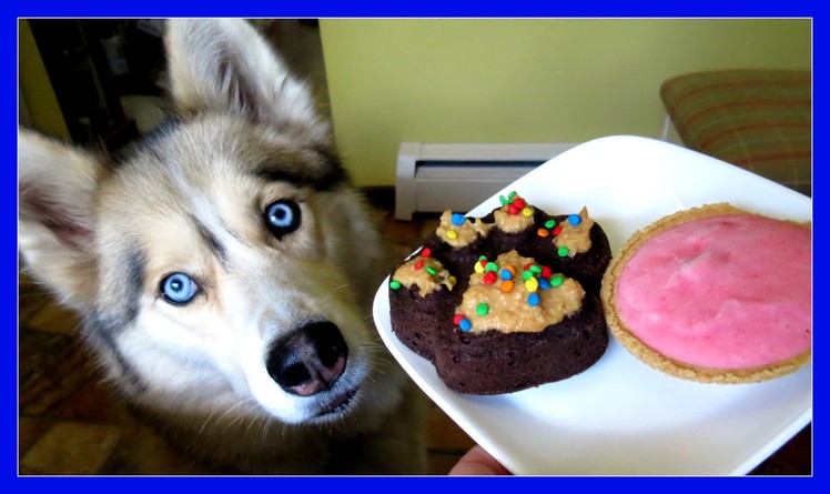 STRAWBERRY DOG ICE CREAM AND PUPCAKES DIY | Snacks with the Snow Dogs 35