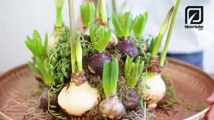 Floral Inspiration How to make this arrangement with flower bulbs DIY