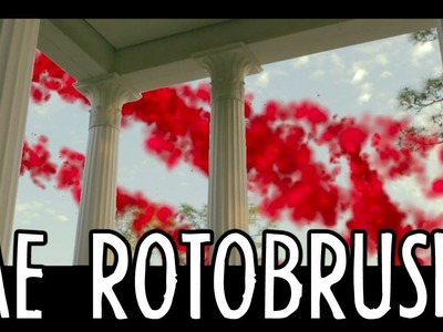 Adobe After Effects Rotobrush & DIY Hanging Light Kit : Awesome Directors Project