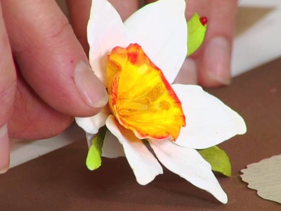 Designing in Susan's Garden with Sizzix Thinlits Narcissus Paperwhites Flower Set