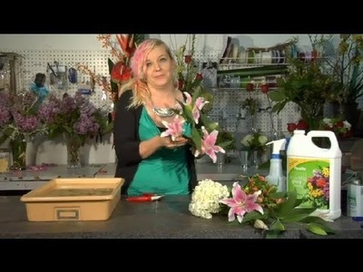 How Do I Keep Fresh Cut Flowers Alive? : Floral Tips & Ideas