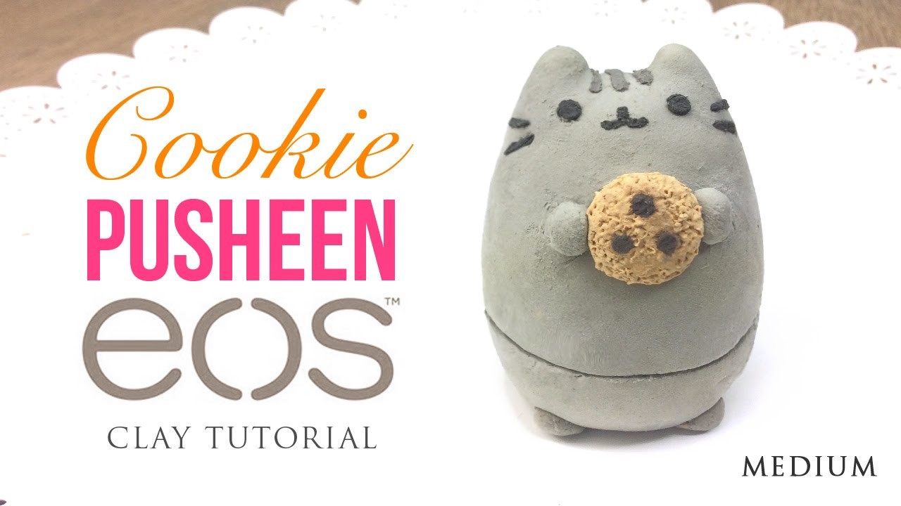 pusheen cat with cookie