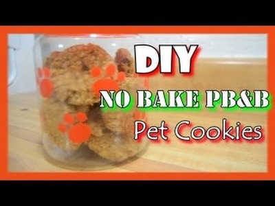 How To Make Diy No Bake Pet Cookies