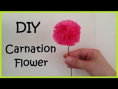 DIY Carnation Flower | Room Decor