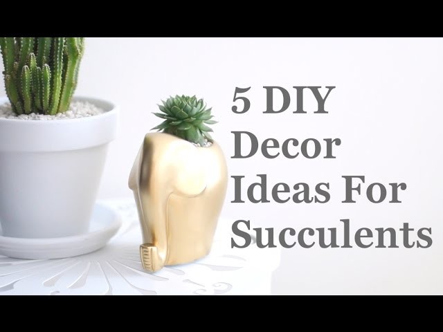 5 DIY Decor Ideas For Succulents