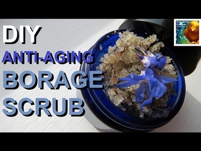 DIY Anti-aging Borage Scrub Recipe