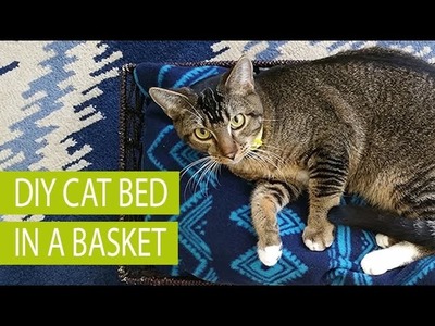 DIY Cat Bed in a Basket #MyCatMyMuse