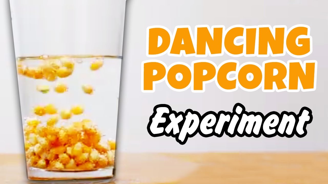 Science Experiment Dancing Popcorn, DIY Science Experiment, Science