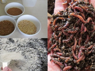 Boost compost worm growth using DIY dry food, more worms mean more poop :)