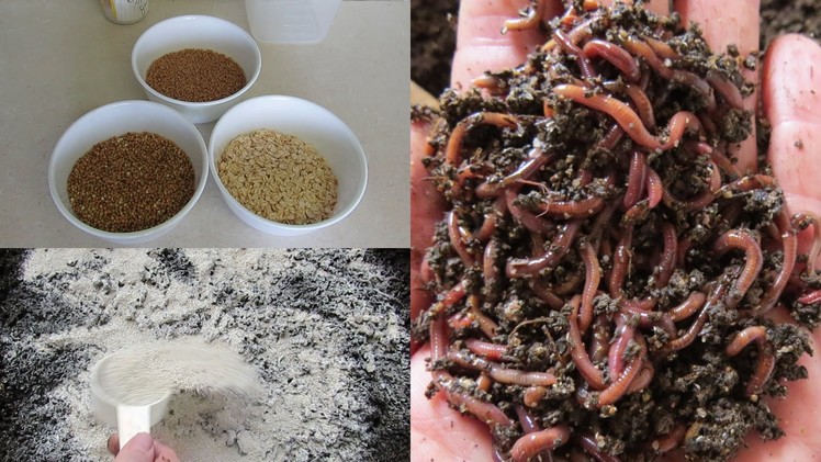 Boost compost worm growth using DIY dry food, more worms mean more poop :)