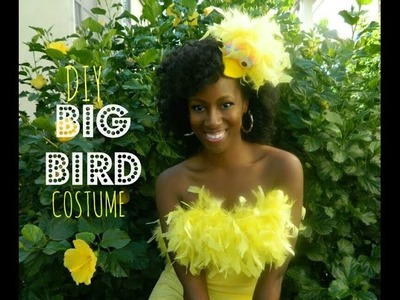DIY Big Bird Costume