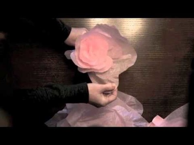 Large Tissue Paper Flowers