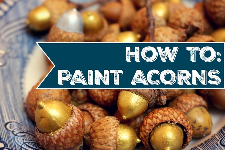 How To Paint Acorns | DIY | Jenny On The Spot
