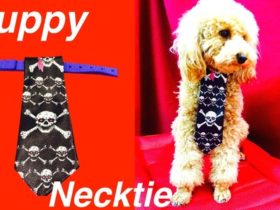 CHRISTMAS DOG TIE - Festive Xmas Formal Neck Tie - DIY Dog Craft by Cooking For Dogs