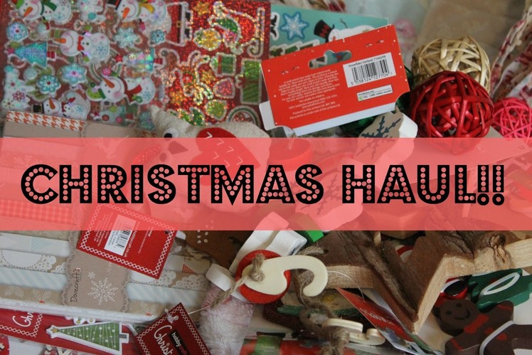 Christmas Haul?! | Craft and Pet Items!