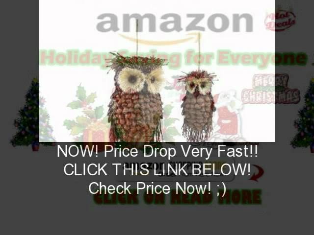 Club Pack of 12 Modern Lodge Pine Cone and Twig Owl Christmas Ornaments