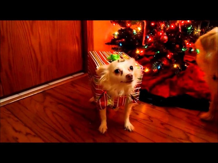 How To Make A Homemade Christmas Costume For Your Dog