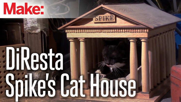 DiResta: Spike's Cat House
